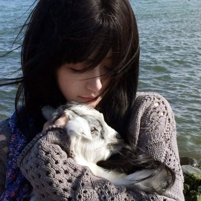 燕南飞，燕难归